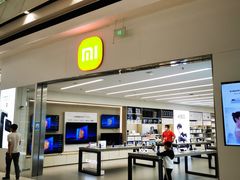 -小米之家汽车(永旺梦乐城店)