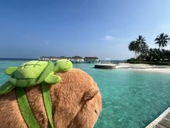 -中央格兰德岛温泉度假酒店 - 全包