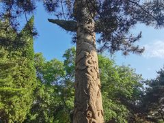 -北陵公园