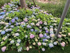 -梁鸿国家湿地公园