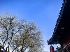 -糖房咖啡(南锣鼓巷店)