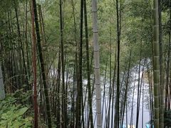 -仙岛湖旅游风景区