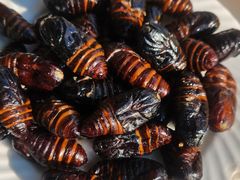 -万顺啤酒屋(皇寺路店)