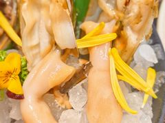-牛New寿喜烧(中山公园龙之梦店)