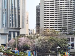 -广州花园酒店