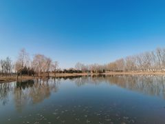 -东郊湿地公园