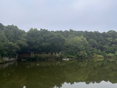 -铁山坪森林公园