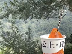 -沈阳辉山风景区