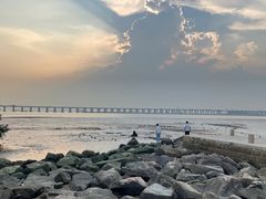 -宝安西湾红树林湿地公园