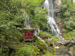 -神农架景区