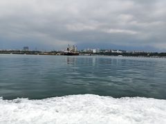 -原野牧场