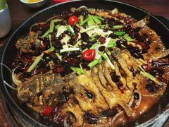 -老板恋上鱼(荣盛广场店)
