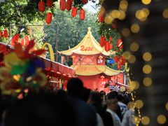-越秀西湖花市(广州城市广场花卉店)