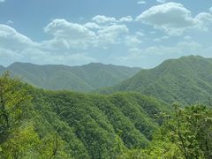-牛背梁国家森林公园