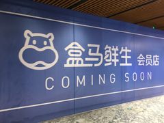 -盒马鲜生(悦峰店)