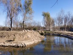 -东郊湿地公园