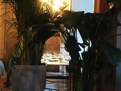 -the rug 飞毯 (朝阳公园店)