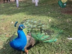 -昆明动物园