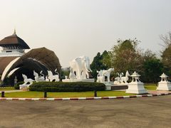 -清迈夜间动物园