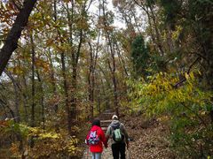 -北京上方山国家森林公园