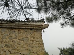 -白水寺森林公园