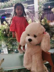 -格乐利雅婚礼艺术中心(南外滩店)