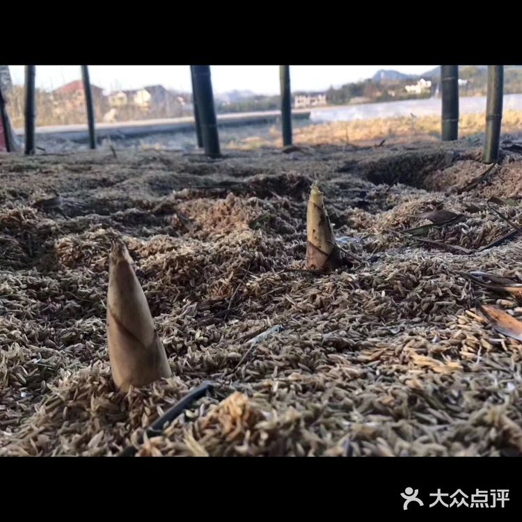 金华男神王勇庚的吃住行