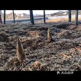 金华男神王勇庚的吃住行