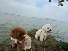 -池州市平天湖风景区