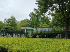 -新虹桥中心花园