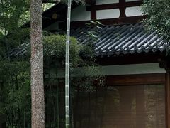 -杭州湖滨in77