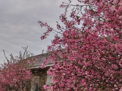 -江苏三台山国家森林公园