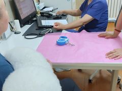 -北京观赏动物医院·24小时大型综合·猫专科·异宠专科