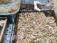 -天盛海鲜烧烤大排档·本地小海鲜·牟平腿穗子(幸福店)