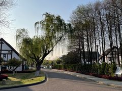 -太阳岛度假酒店