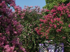 -杭州城北体育公园