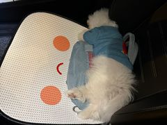 -小意思咖啡店(草桥店)