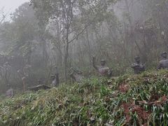 -娄山关景区