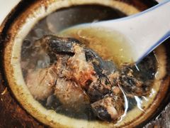 原只椰子炖竹丝鸡-達揚原味燉品(文明路店)