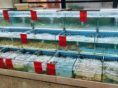 -洲晓鱻舟山海鲜(2号店)