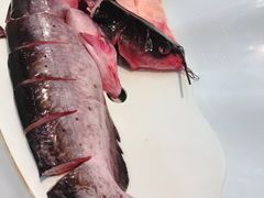 -老刘生态大鱼坊铁锅炖鱼(赛马场店)