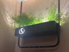 -华夏良子·足道SPA艾灸(王府井店)