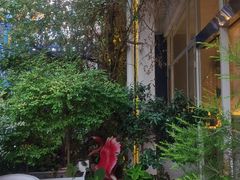 -春树下·树屋花房西餐厅(罍街AS1980店)