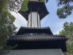 -上海佘山国家森林公园天马山园