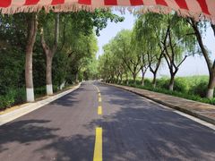 -太阳岛度假酒店