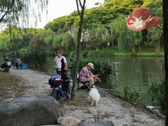 -新江湾城公园