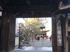 -医王山·飞騨国分寺