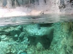 -海合安青岛极地海洋公园