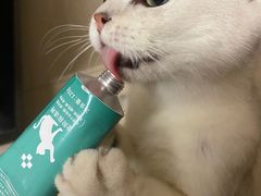 -lincat·猫舍(广州店)