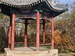 -北京凤凰岭